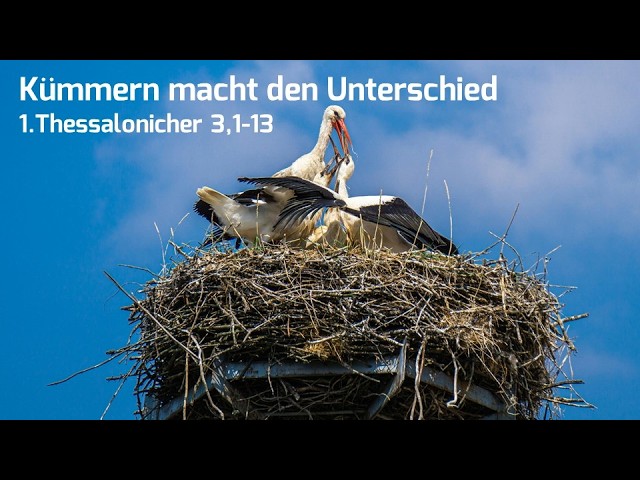 Kümmern macht den Unterschied