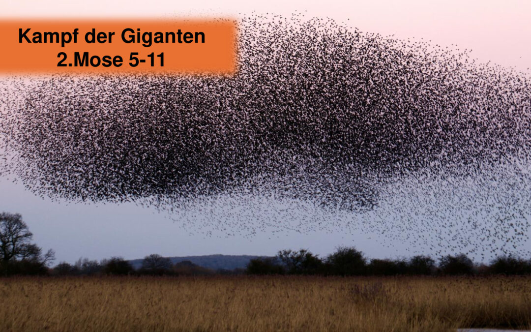 Kampf der Giganten