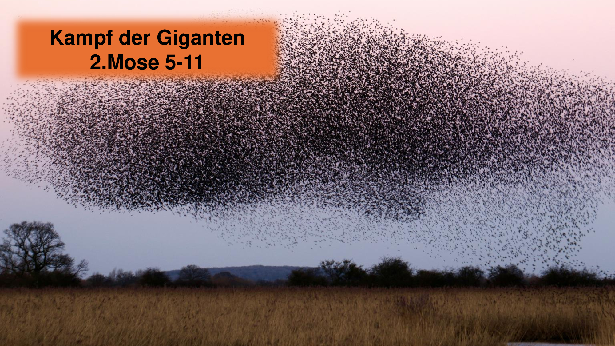 Kampf der Giganten